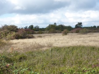 Picture of Point Roberts Parcel Number 405303-234071